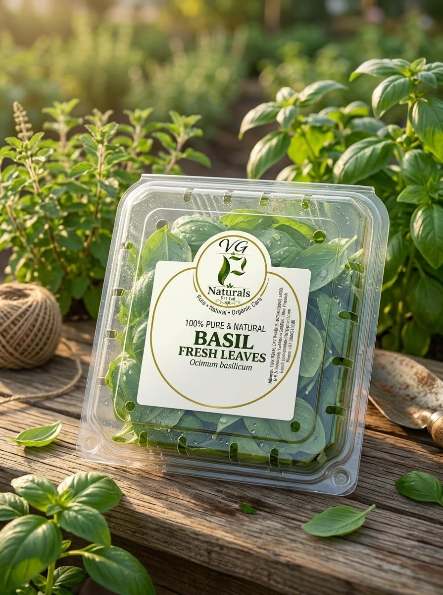 Fresh Basil Leaves — VG Naturals